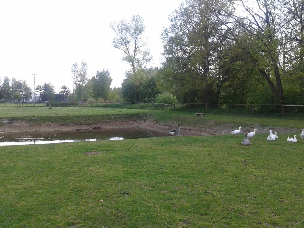 Chata Zahrada Madeta Veselí nad Lužnicí Dış mekan fotoğraf