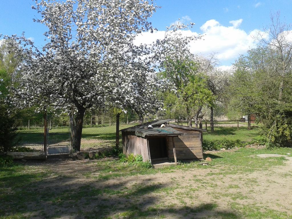 Chata Zahrada Madeta Veselí nad Lužnicí Dış mekan fotoğraf