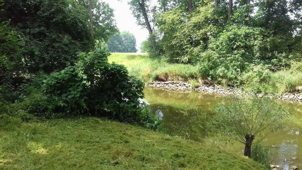 Chata Zahrada Madeta Veselí nad Lužnicí Dış mekan fotoğraf