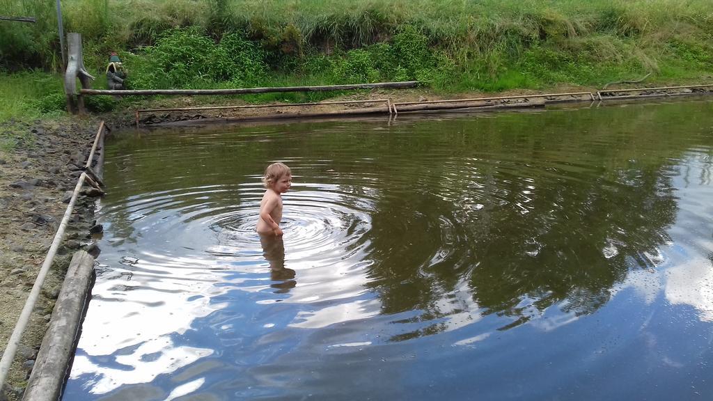 Chata Zahrada Madeta Veselí nad Lužnicí Dış mekan fotoğraf